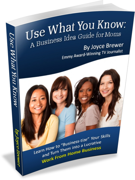Use What You Know: A Business Idea Guide for Moms ~ MommyTalkShow.com