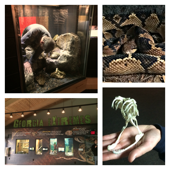 Experience Zoo Atlanta