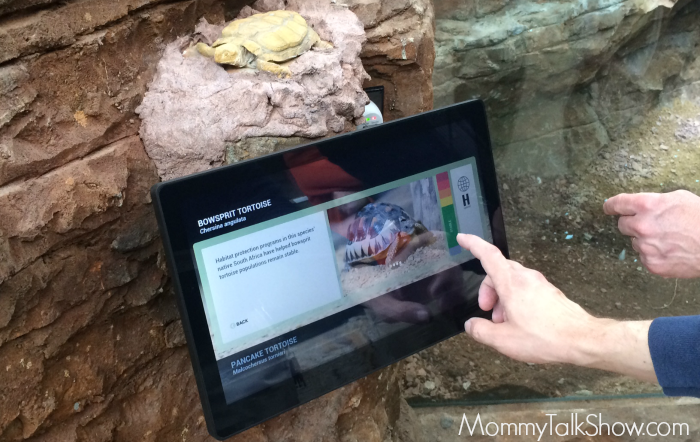 Zoo Atlanta Kiosk