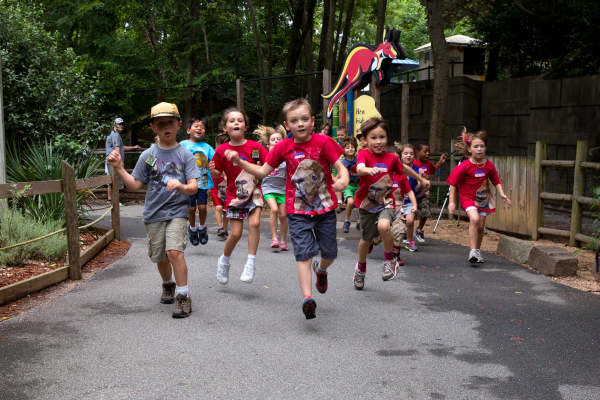 Zoo Atlanta Summer Camp