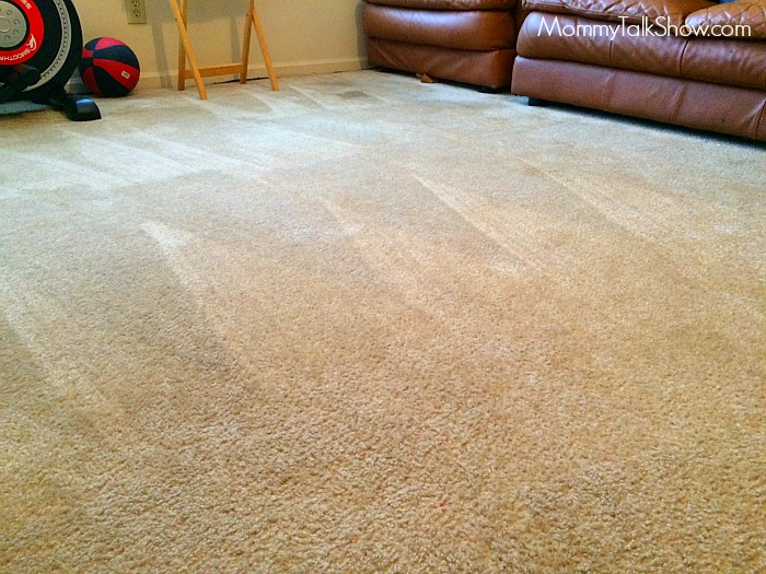 Carpet Lines