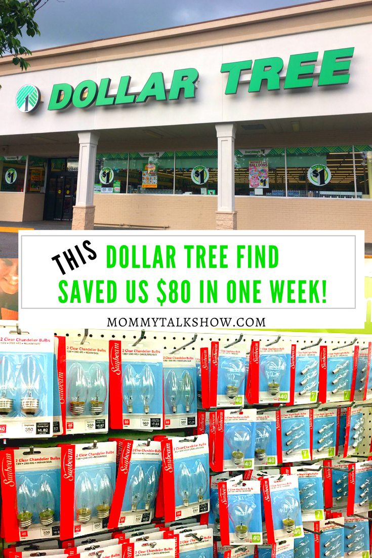This Dollar Tree Find Saved Us $80 in One Week!