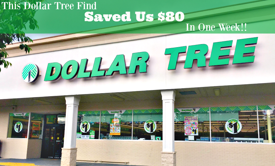 This Dollar Tree Find Saved Us $80 in One Week!