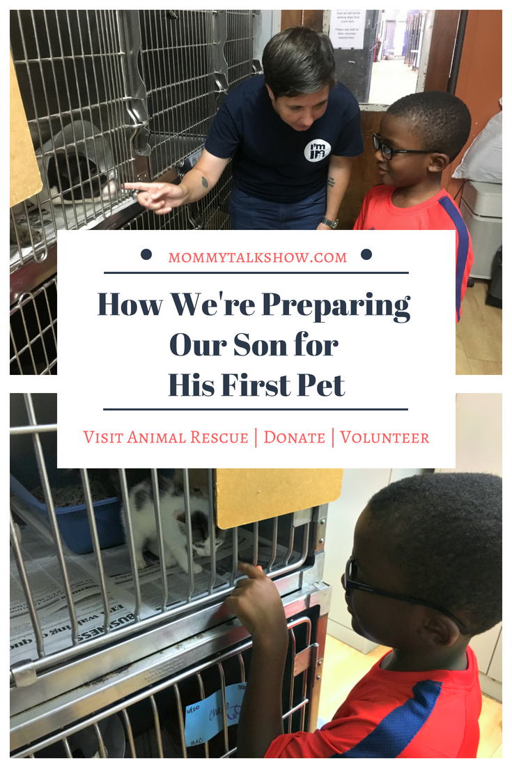 How We're Preparing Our Son for His First Pet